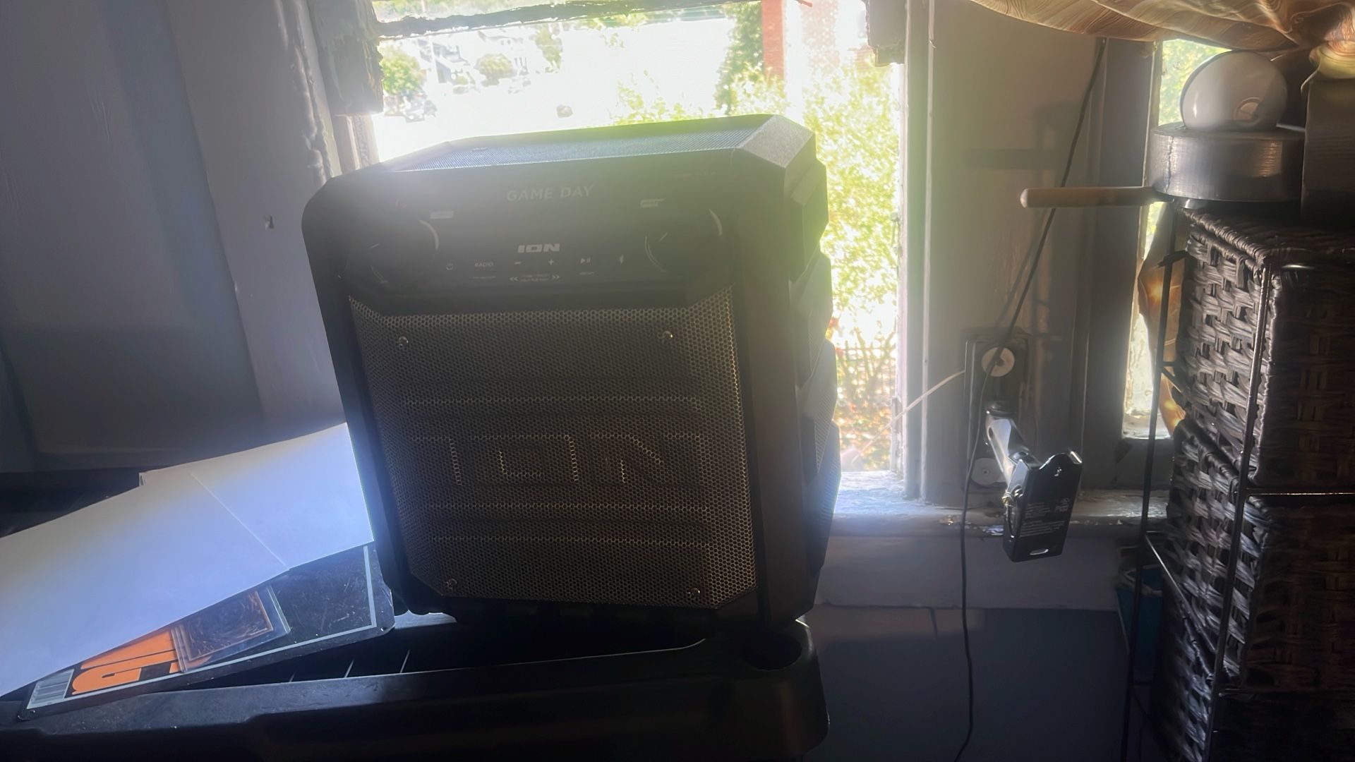 Ion Party Speaker