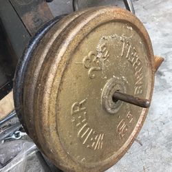 50 Pound And 25 Pound Standard Plates 