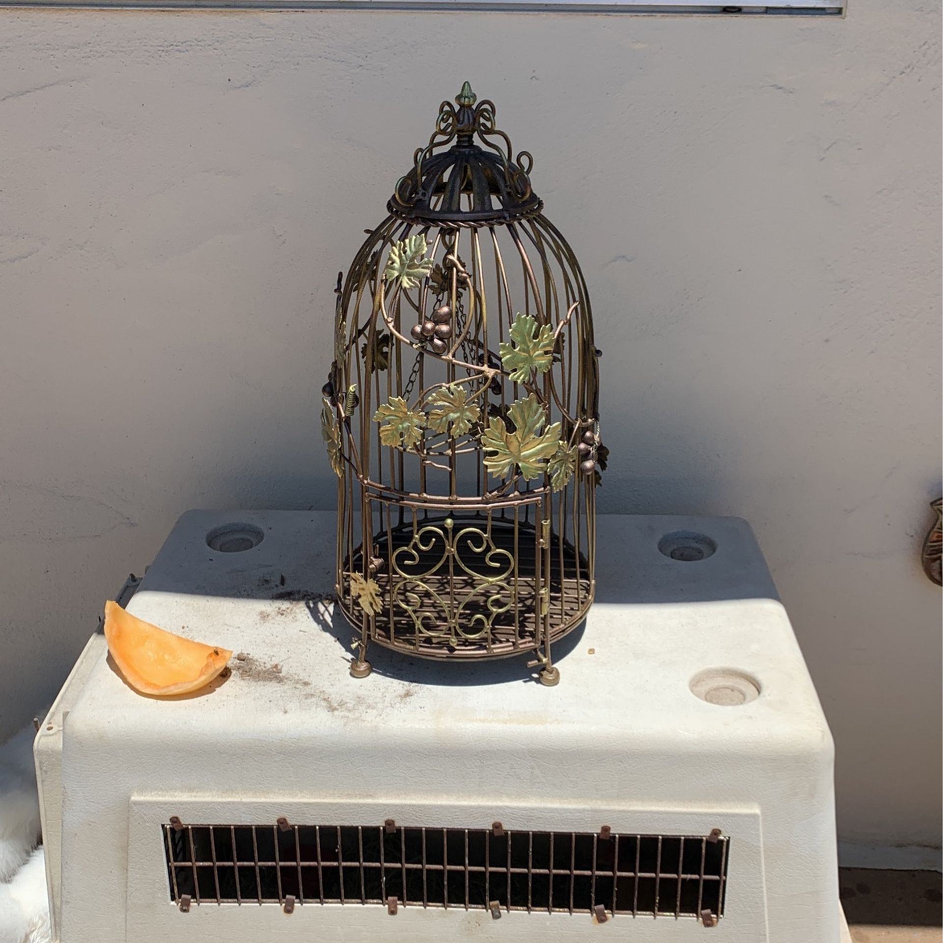 bird Cage