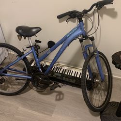 Schwann Bike