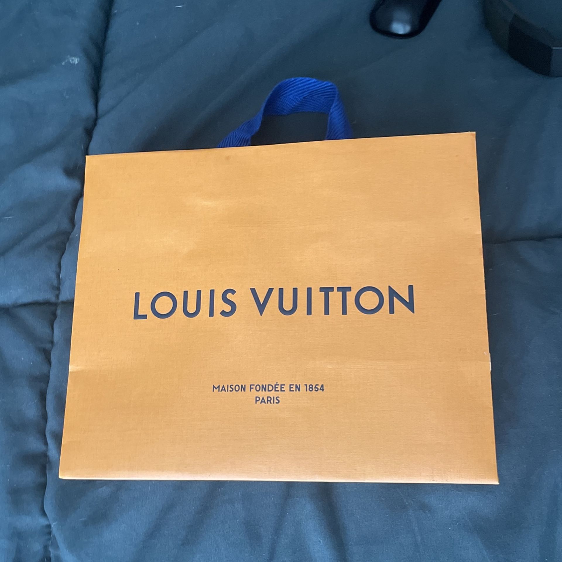 Louis Vuitton Bag 
