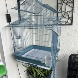 Bird cage. Jaula