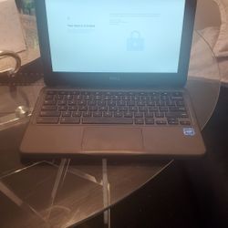 Chromebook 3100
