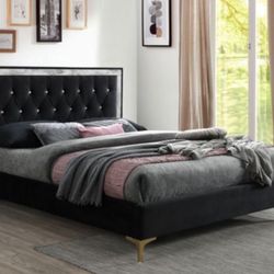 Brand New Black Fabric Bed