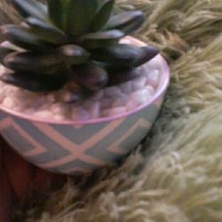 Faux Succulent 