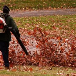 Leaf Blowing 