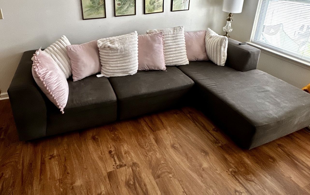 Large Gray Sectional