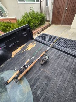 Fishing poles 3 total take all