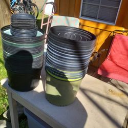 30 Flower Pots