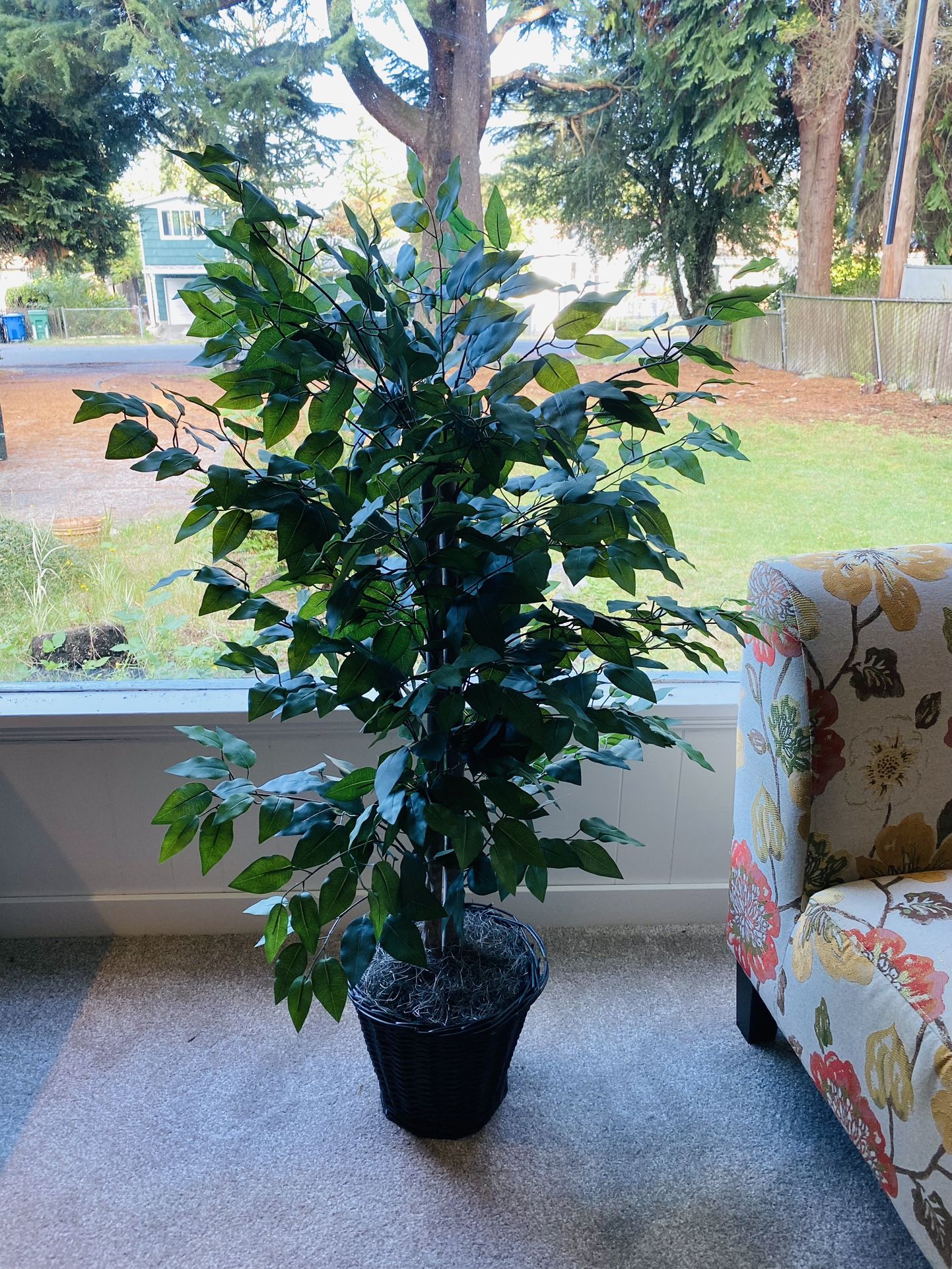 Artificial Plant 30 for Sale in Seattle, WA OfferUp