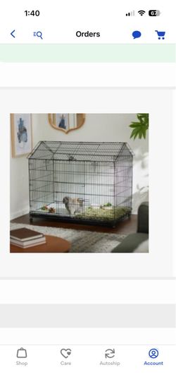 Rabbit cage