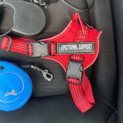 Harness + 2 Retractable Leashes