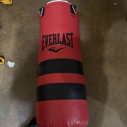 everlast boxing bag 