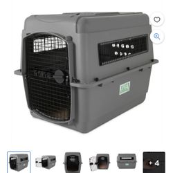 Dog Crate 36 “ 