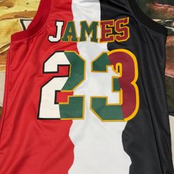 Vintage LeBron Jersey 
