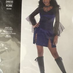 Purple And black Women’s Halloween Dress Costume 