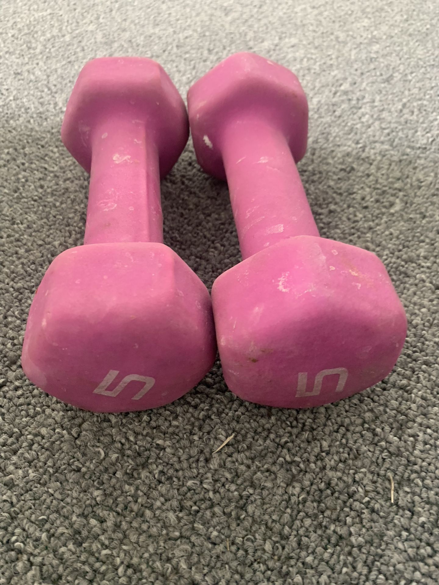 5lb Weights 
