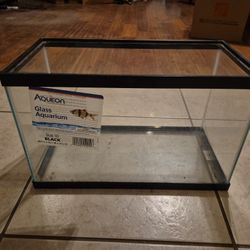 Glass Aquarium With Light And Heating Pad