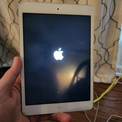 Ipad Mini (From 2016)