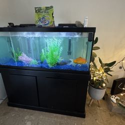 Large aquarium Fish Tank 