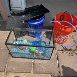 Fish Tank 