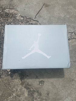 Air Jordan wolf grey 5s