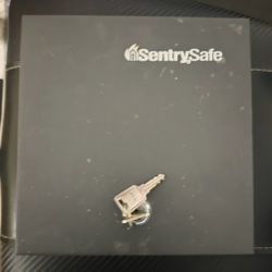 Sentry Safe