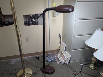 Goose Neck Over Bed/Table Lamp