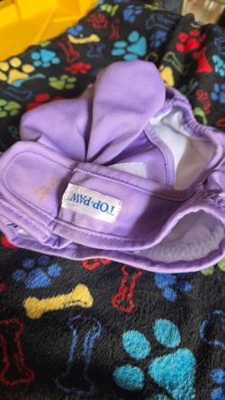 Top Paw Purple Dog Diaper Dog Cone and newborn collars