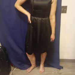 Satin Sleeveless A Line Dress, Cynthia Howie, Size 6