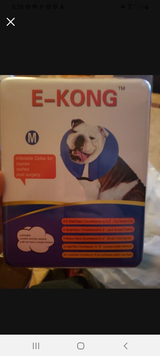 #NEW PROTECTION COLLAR TO KEEP THEM FROM SCRATCHING WHEN NEEDED