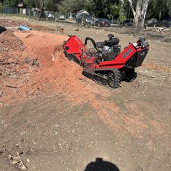 Mannys Stump Grinder Cheap