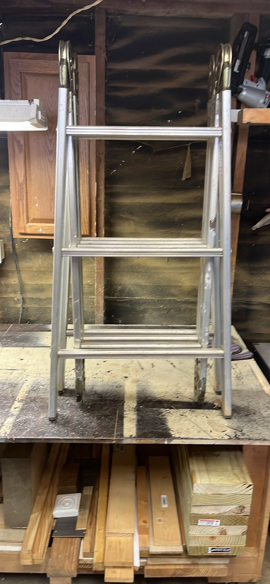 Folding Ladder