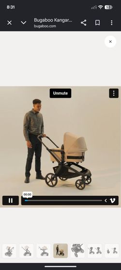Kangaroo bugaboo stroller