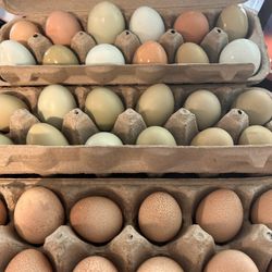 Eggs - 4.00 Per Dozen 