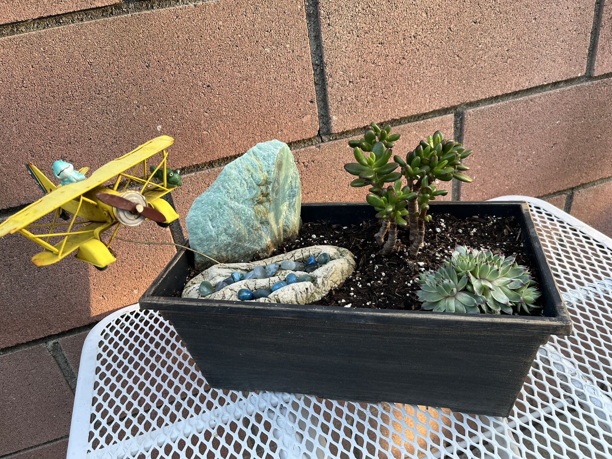 Mission possible? Succulent Patio Display ( View Other Plant Displays )