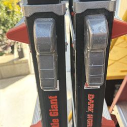 Little giant ladder dark horse