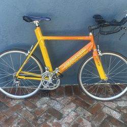 Cannondale Bike - Multisport 2000 