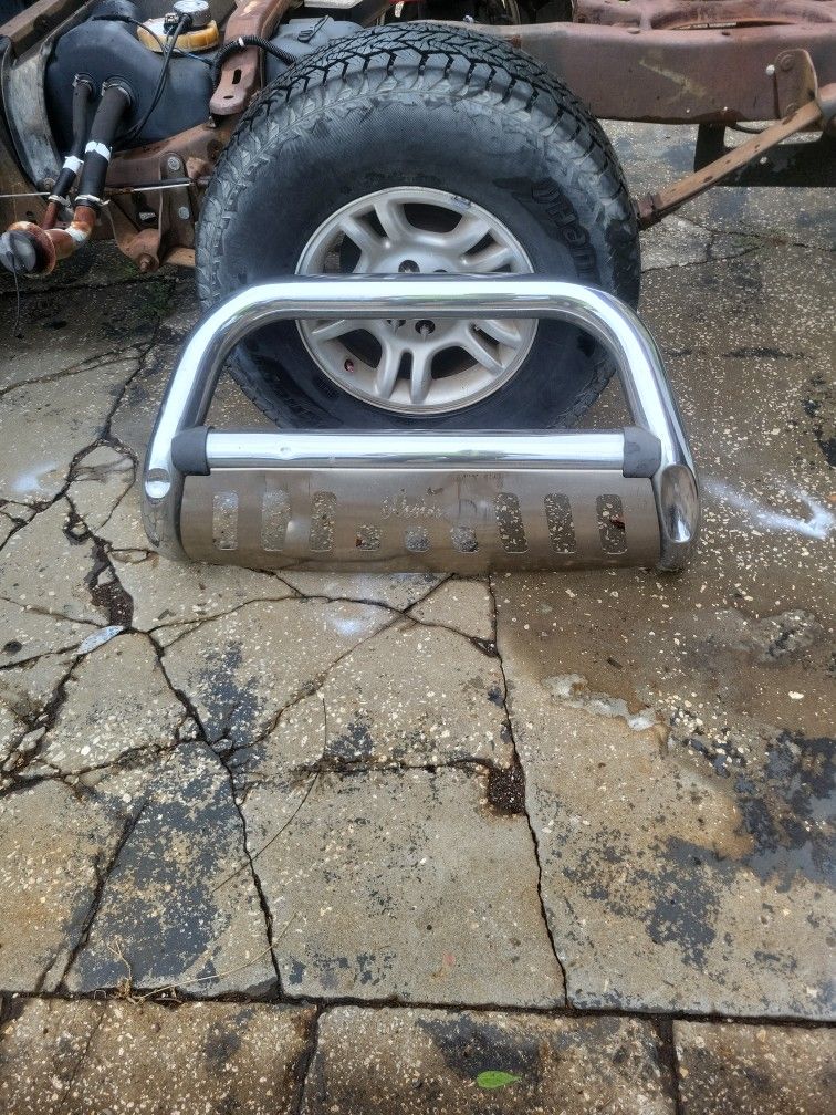 Brush Guard