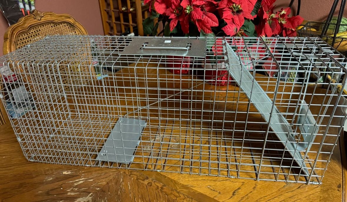 Cat Trap