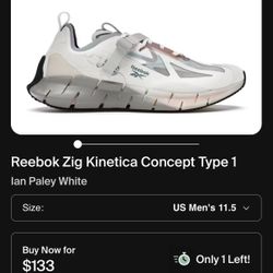 Reebok Zig Kinetica Concept Type 1