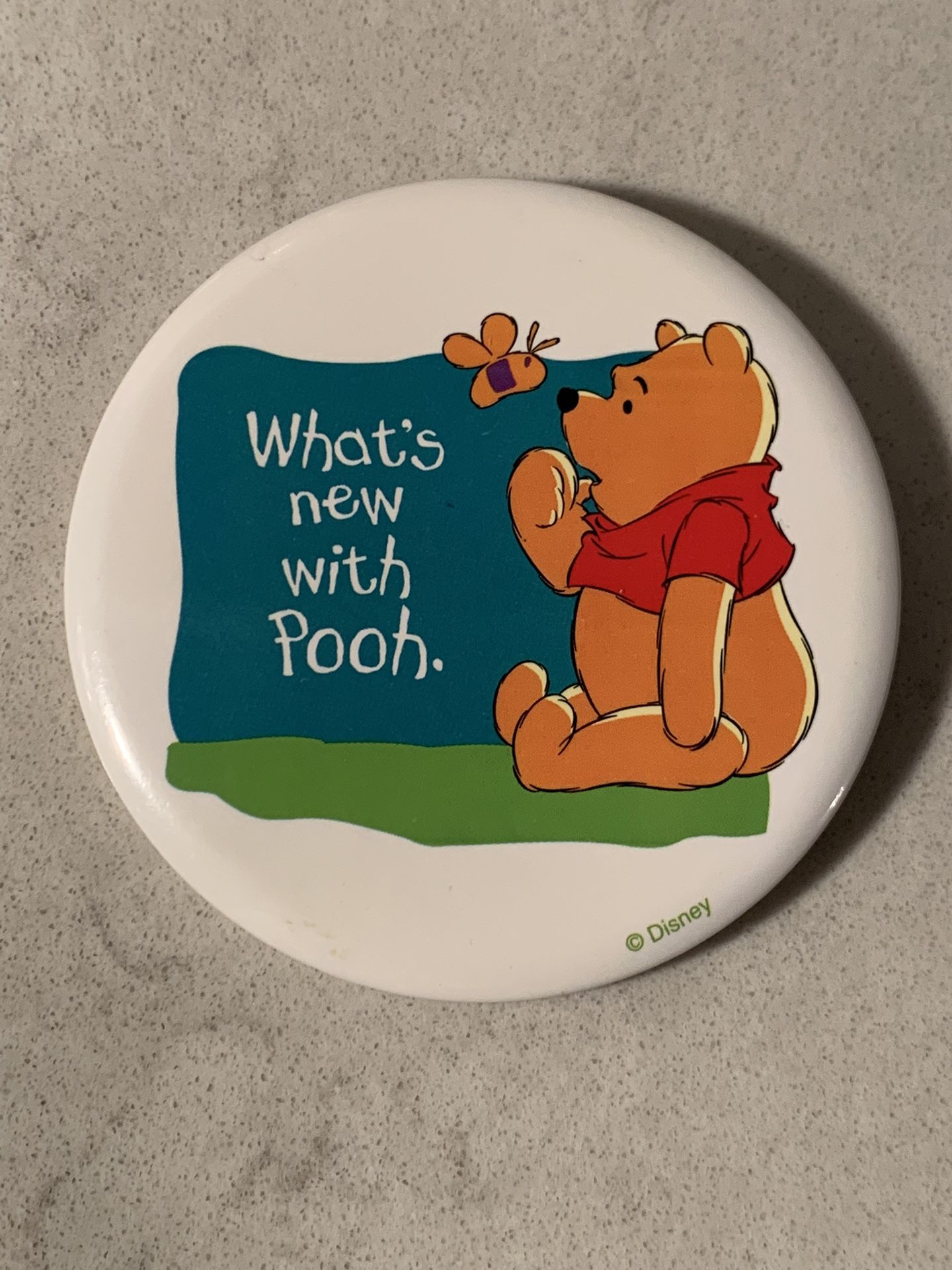 Rare Vintage Walt Disney World Pin Button Winnie The Pooh