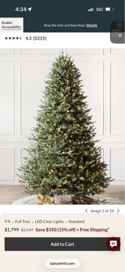Berkshire Mountain Fir with Candlelight LED Lights