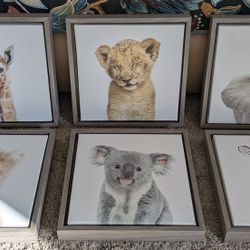 Baby Safari Animals Canvas For Nursery - Set Of 6