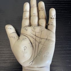 Palmistry Hand Model