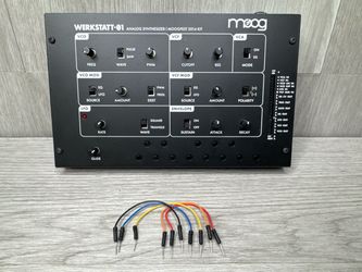 MOOG WERKSTATT-01 MOOGFEST 2014 (A1D031659)