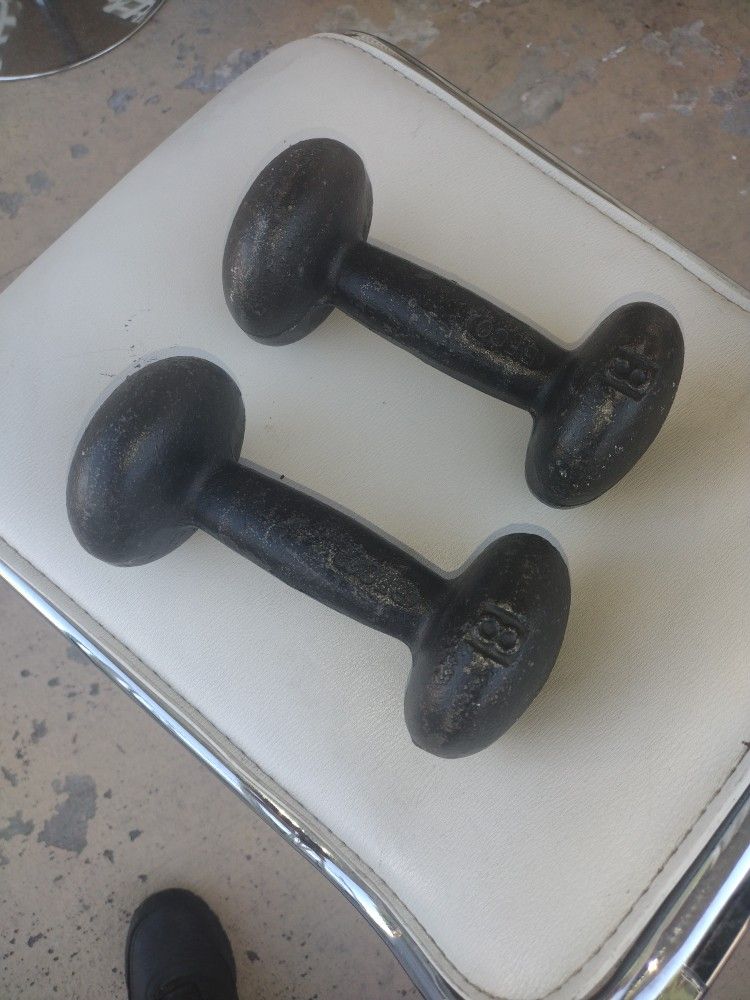 Pair Of Dumbbells 8 L BFCO Made Of Iron 