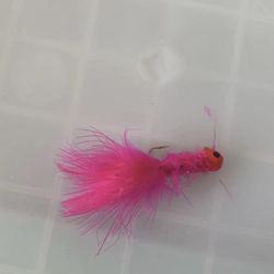 Fish Lures