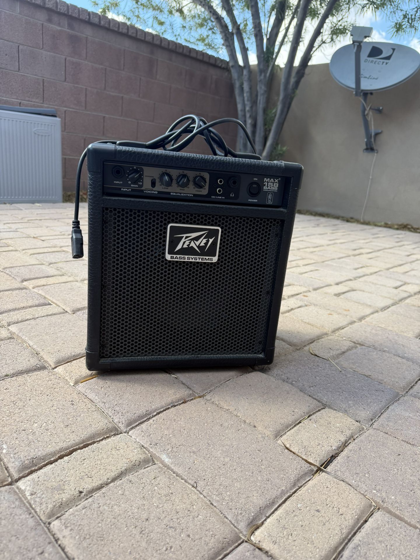 Peavey Bass System Guitar Amp