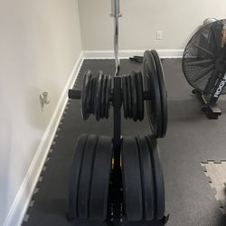 Weight Tree With Weights, Clips And Curl Bar